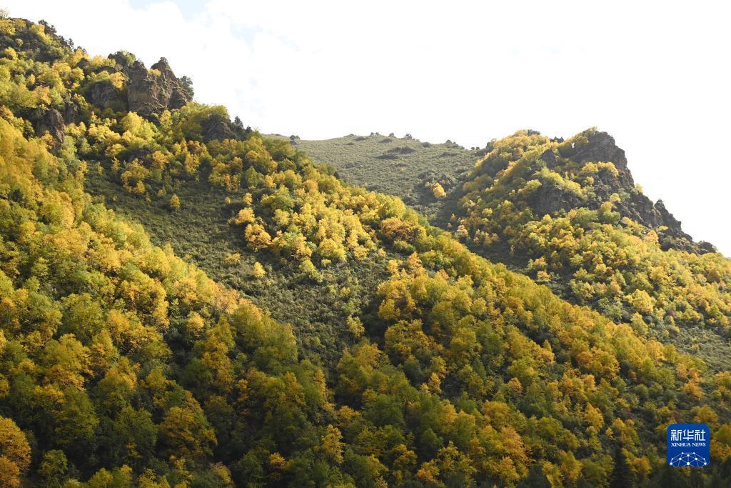 钱塘注册
